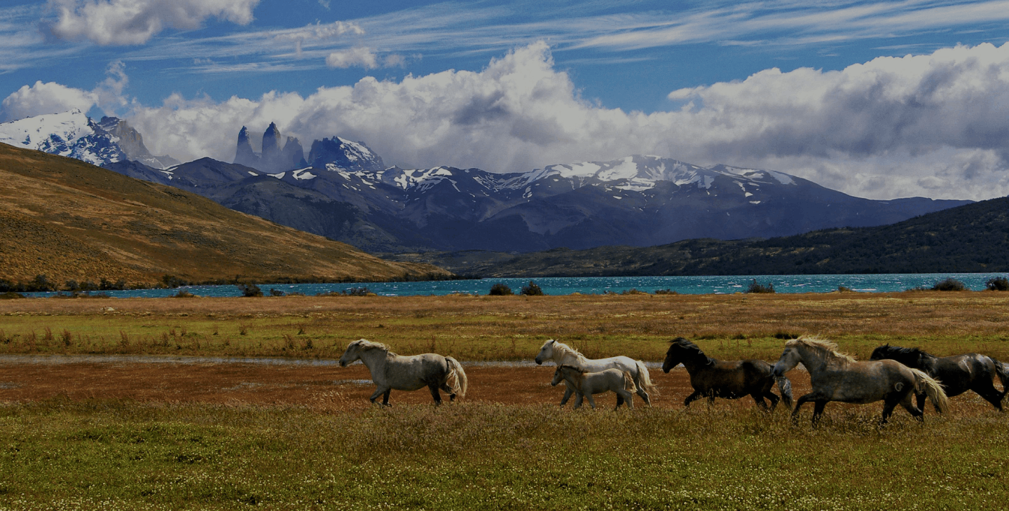 Chile