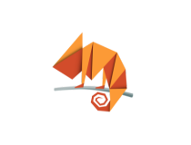 Logo CHS